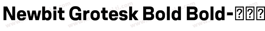 Newbit Grotesk Bold Bold字体转换